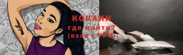 дживик Аркадак