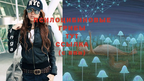 дживик Аркадак